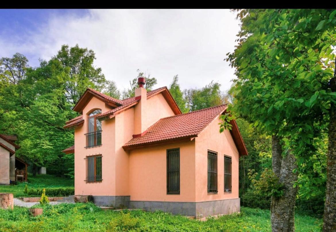Dilijan Dream House! 3 Bedroom Amazing Villa In National Park! Eksteriør billede